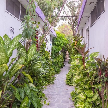 Hotel Aventura 梅里达 外观 照片